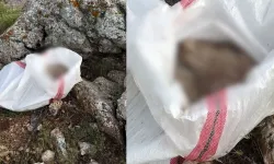 Kahramanmaraş'ta Tepki Çeken Olay! Çuval İçindeki Görüntü Vatandaşları Üzdü