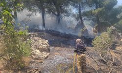 Kahramanmaraş’ta Ormanda Yangın Paniği! Alevler Kontrol Altında