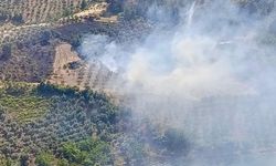 Kahramanmaraş'ta Ekili Tarla Alevlere Teslim Oldu!
