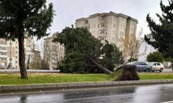 Çatı Uçması ve Ağaç Devrilmesi Riski! Kahramanmaraş İçin Uyarı