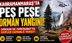 Kahramanmaraş Göksun ve Onikişubat'ta Peş Peşe Orman Yangını!