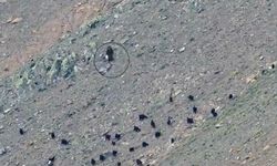 Kahramanmaraş’ta Hayvanlarını Aramak İçin Dağa Çıktı, Kayboldu!