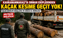 Kahramanmaraş'ta Kaçak Ağaç Kesimine Operasyon!