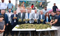 Kahramanmaraş’ın “Karadeniz”inde Fındık Festivali Coşkusu