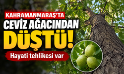 Kahramanmaraş’ta Ceviz Ağacından Düştü: Ağır Yaralandı!