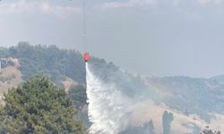 Kahramanmaraş’ta orman yangını: Söndürme çalışmaları sürüyor