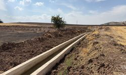 Kahramanmaraş’ta Tarıma 111 Milyon TL’lik Destek: 62 Bin 500 Dekara Ulaştı