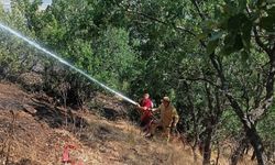 Kahramanmaraş’ta ormandan dumanlar yükseldi: 2 helikopter müdahale etti