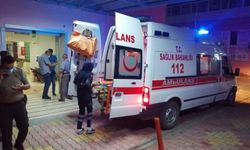 Kahramanmaraş’ta Gece Yarısı Can Pazarı: Kamyonetin Çarptığı Yaya Kurtarılamadı