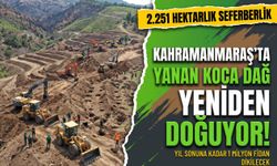 Kahramanmaraş'ta Küllerin Yerini 1 Milyon Yeni Fidan Alıyor!
