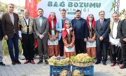 Kahramanmaraş Bertiz’de Bağ Bozumu Coşkusu: Kabarcık Üzümü Tanıtıldı