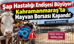 Şap Hastalığı Endişesi Büyüyor! Kahramanmaraş’ta Hayvan Borsası Kapandı!