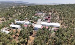 Kahramanmaraş’ta 5 binden fazla sokak hayvanına güvenli yaşam