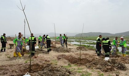 Kahramanmaraş'ta Çöplük alanlar ağaçlandırılıyor