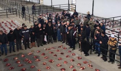 Kahramanmaraş'ta 'hayrat kurbanı' geleneğinde  bu yıl 6 büyükbaş kesildi