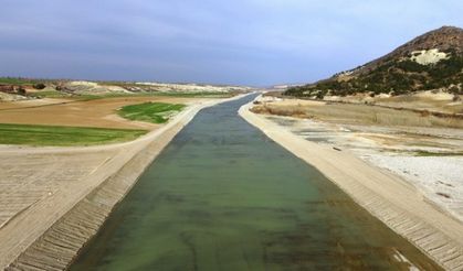 Tarımda Çukurova'ya alternatif geliyor