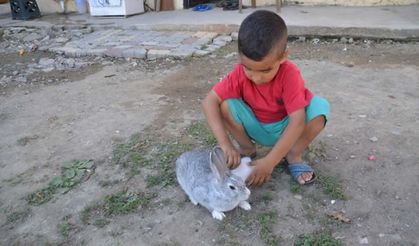 Kahramanmaraş'ta küçük çocukla köpeğin gülümseten oyunu