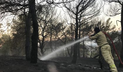 Kahramanmaraş'ta orman yangını