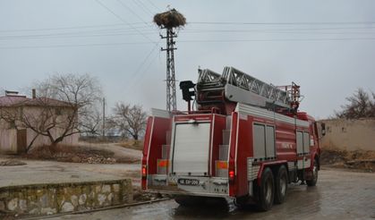 Kahramanmaraş'ta yuvayı terk etmeyen leylek ekiplere zor anlar yaşattı