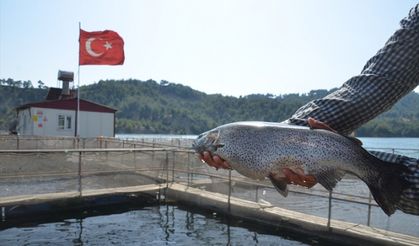 Denizi olmayan kentten 25 milyon dolarlık balık ihracatı