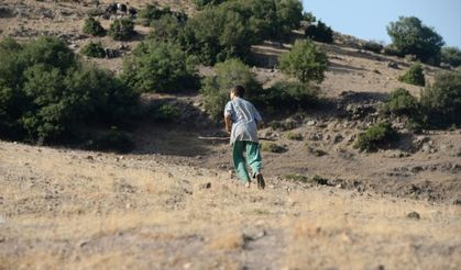 Kahramanmaraş'ta 6 küçükbaş hayvan telef oldu!