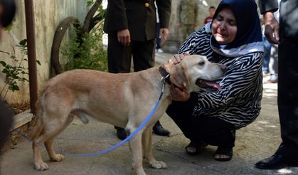 Oğullarını şehit verdikleri saldırıda gazi olan görev köpeği Atmaca'yı sahiplendiler