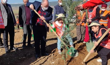 Kahramanmaraş'ta Tayvan-Türkiye Dostluk Hatıra Ormanı'na 30 bin fidan dikildi