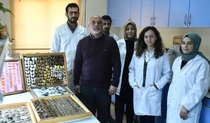 Kahramanmaraş'ta 'Böcek sevdalısı' profesör, 4 bin türlük koleksiyonunu müzede sergilemek istiyor