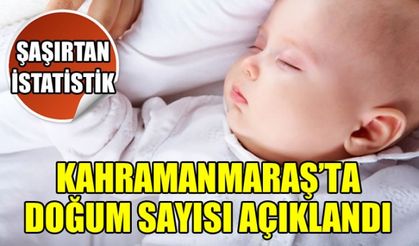 Kahramanmaraş'ta son 6 yılda meydana gelen doğum sayısı