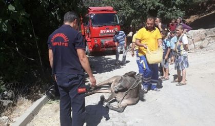 Ölmek üzere olan atın imdadına itfaiye yetişti