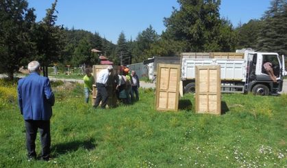 Kahramanmaraş'ta ala geyikler doğaya bırakıldı