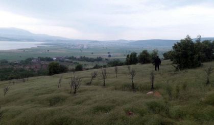 Pazarcık'ta yıldırım isabet eden çoban öldü