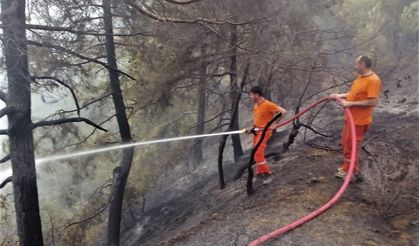 Kahramanmaraş'ta ormanlık alanda çıkan yangın kontrol altına alındı!