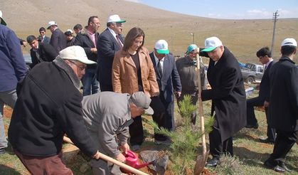 Eshab-ı Kehf'te, fidan dikme etkinliği