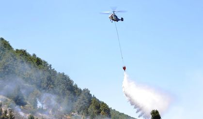 Kahramanmaraş'ta orman yangını