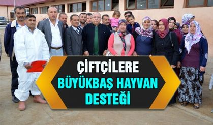 Çiftçilere büyükbaş hayvan desteği