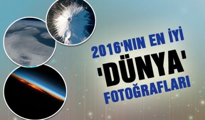 2016'nın en iyi 'Dünya' fotoğrafları