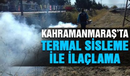 Kahramanmaraş’ta Termal sisleme ile ilaçlama