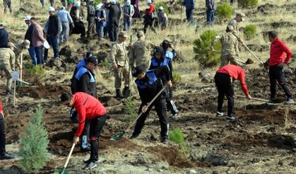 Kahramanmaraş'ta 222 bin fidan toprakla buluştu