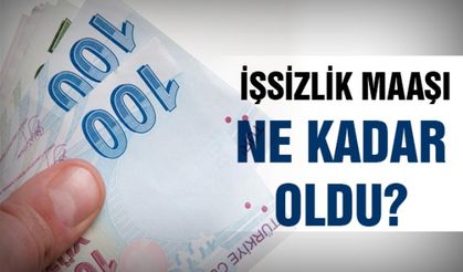 İşsizlik maaşı ne kadar oldu?