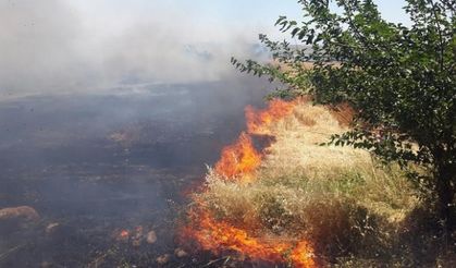 Kahramanmaraş'ta Anız Yangınları