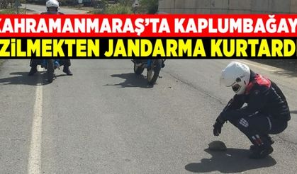 Kahramanmaraş'ta jandarmadan örnek davranış!