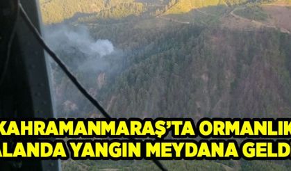 Kahramanmaraş'ta orman yangını kontrol altına alınmaya çalışılıyor!