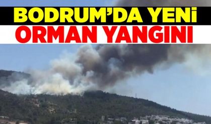 Bodrum'da yeni yangın! Yoğun çalışma yürütülüyor!