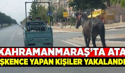 Kahramanmaraş'ta ata işkence eden kişilere para cezası verildi!