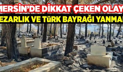 Mersin'de yangın sonrası şehit mezarlığı ile Türk bayrağı yanmaması dikkat çekti!