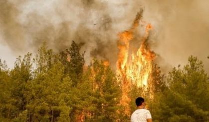 Alanya'nın ilçelerinde çıkan yangında 107 ev zarar gördü!