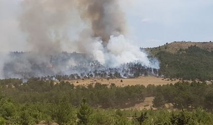 Burdur'da çıkan yangın söndürüldü!
