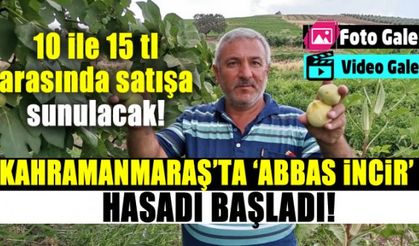 Kahramanmaraş'ta incir hasadı başladı!