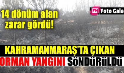 Kahramanmaraş'ta orman yangınında 14 dönüm alan zarar gördü!